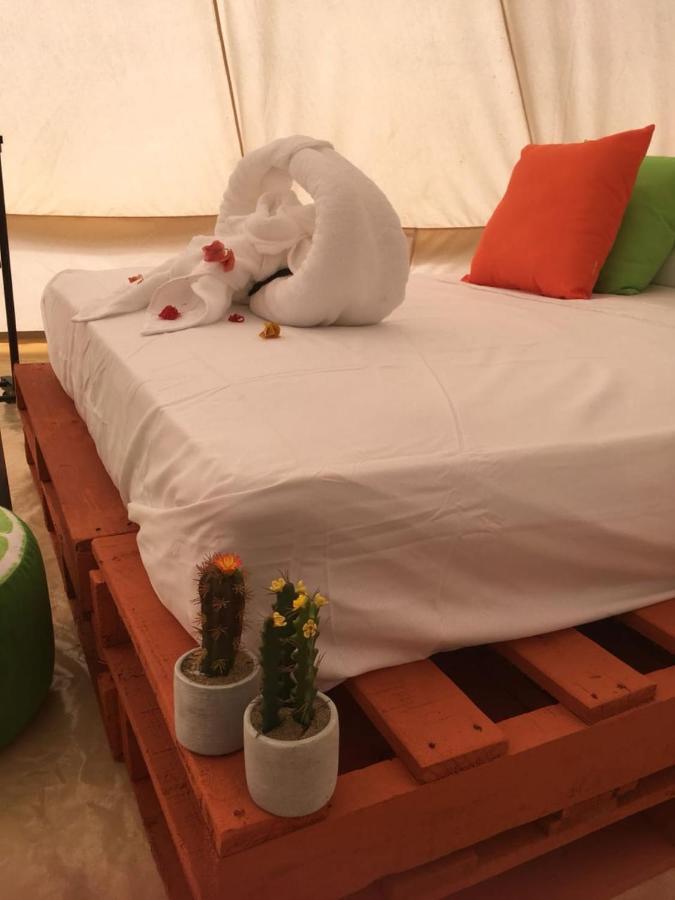 Hotel Due Amici Glamping Palomino Esterno foto