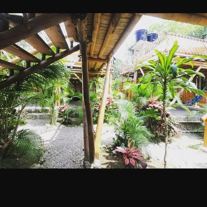 Hotel Due Amici Glamping Palomino Esterno foto