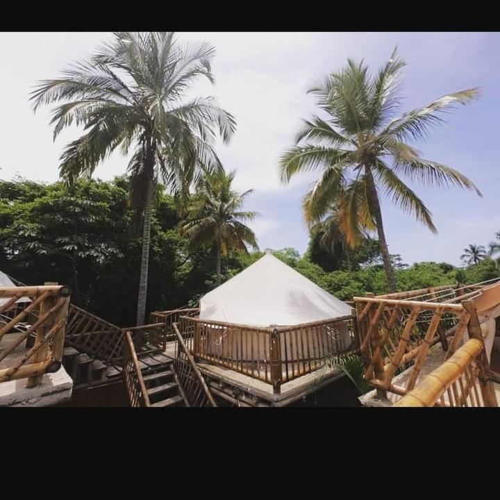 Hotel Due Amici Glamping Palomino Esterno foto