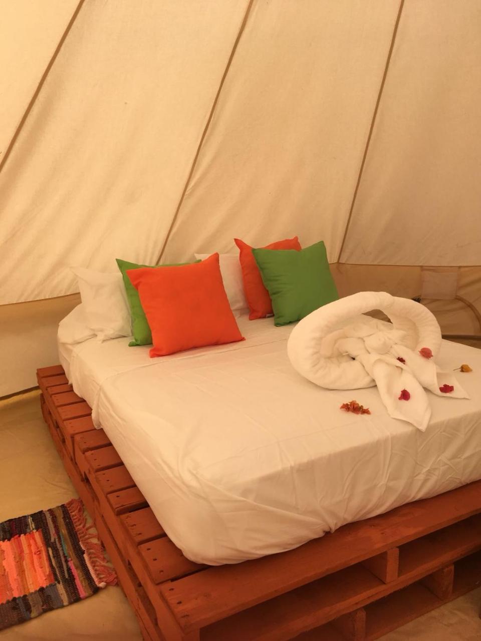 Hotel Due Amici Glamping Palomino Esterno foto